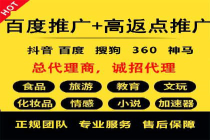 SEM专员案例：数据分析与优化